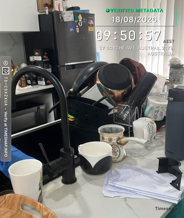 Kitchen counter and sink cluttered before cleaning, Austral