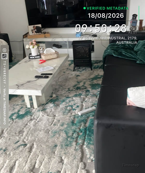 Living room rug and sofa before cleaning, Austral
